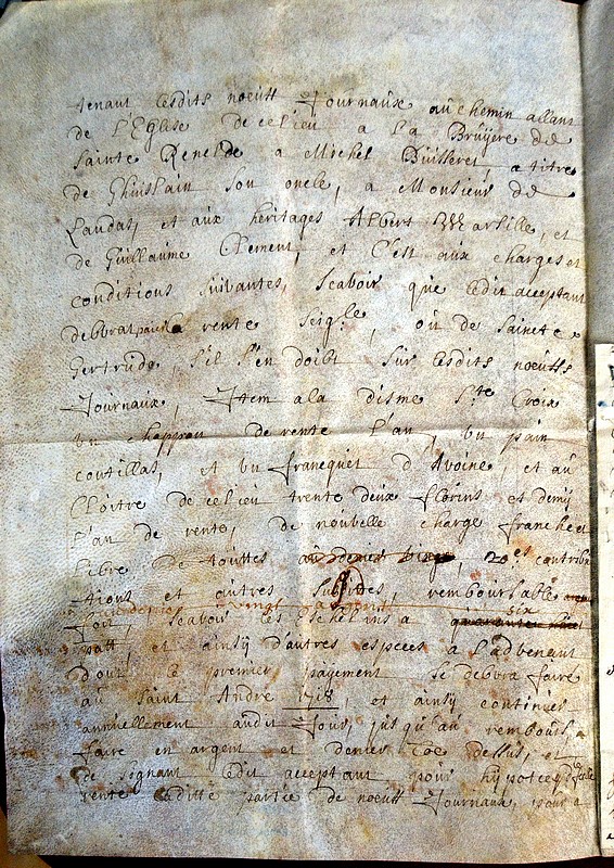 archives hospice